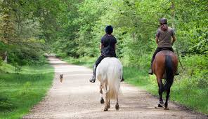 Horseback Riding